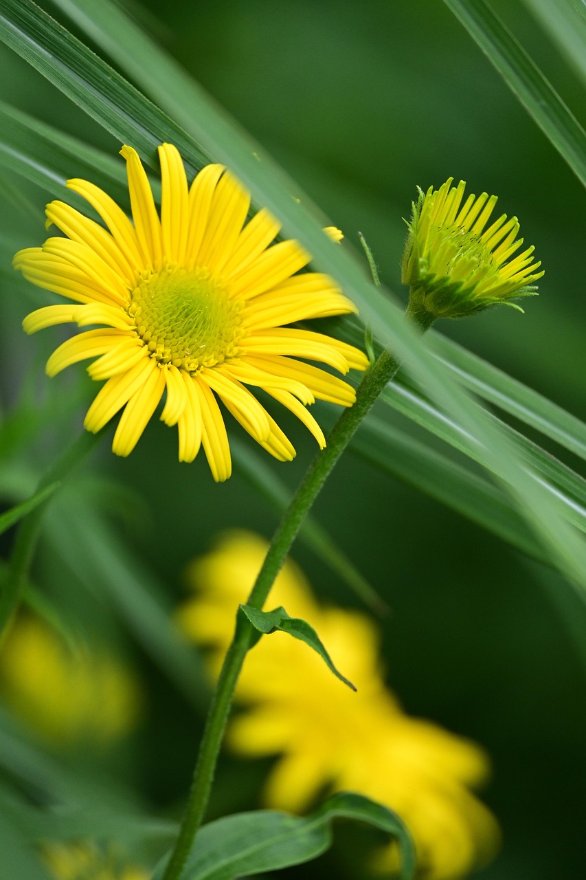 相続空き家の売却で3000万円特別控除を受けるための条件は？