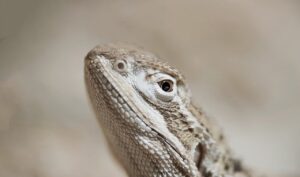 相続空き家の売却について銀行に相談することは意味ある？