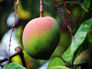 相続空き家の売却時にかかる税率は何パーセント？