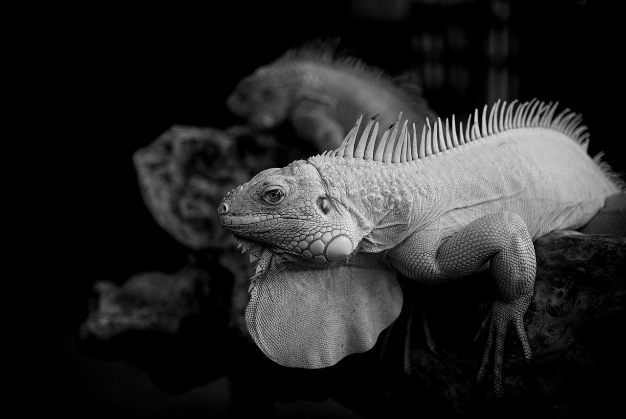 相続空き家の相続税が払えない場合、売却はどうすればいい？