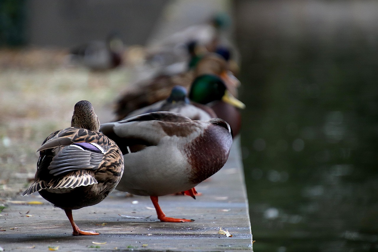 相続空き家の売却で相続人が多い場合にまとまらない時の対処法は？