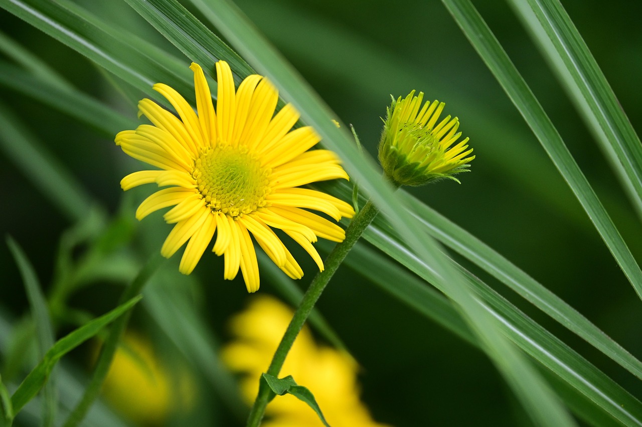相続空き家を相場より高く売却するためのコツは？